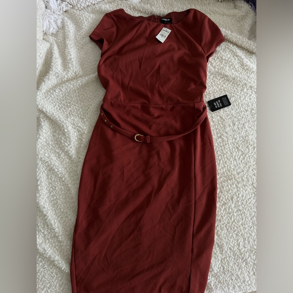 Express burnt orange women’s career dress